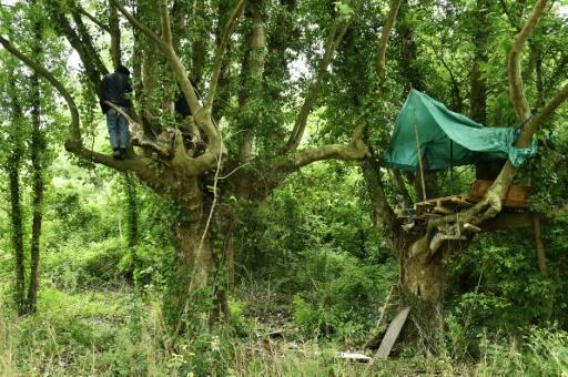 Immobilier: une nouvelle « zone à défendre » sur un site Natura 2000