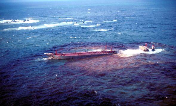 La pollution de la mer tue la Méditerranée