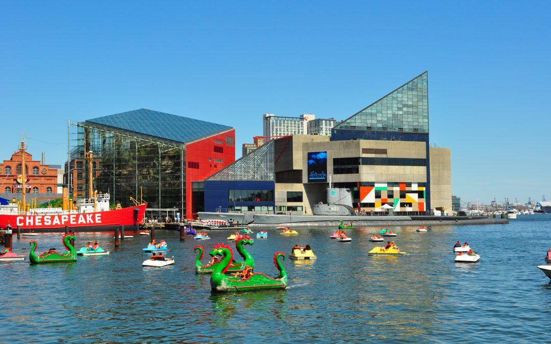 Baltimore’s National Aquarium to create first U.S. dolphin sanctuary