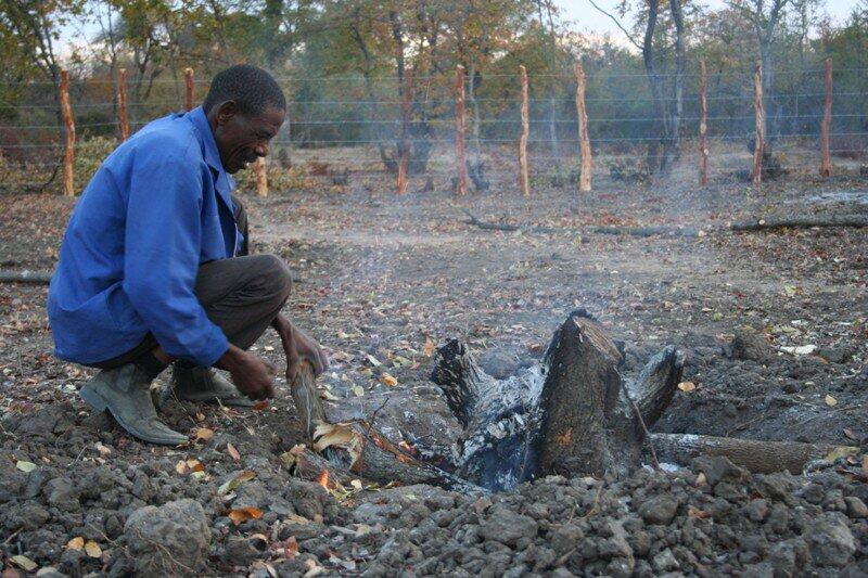 Tinder-dry Zimbabwe seeks jail terms for arsonists