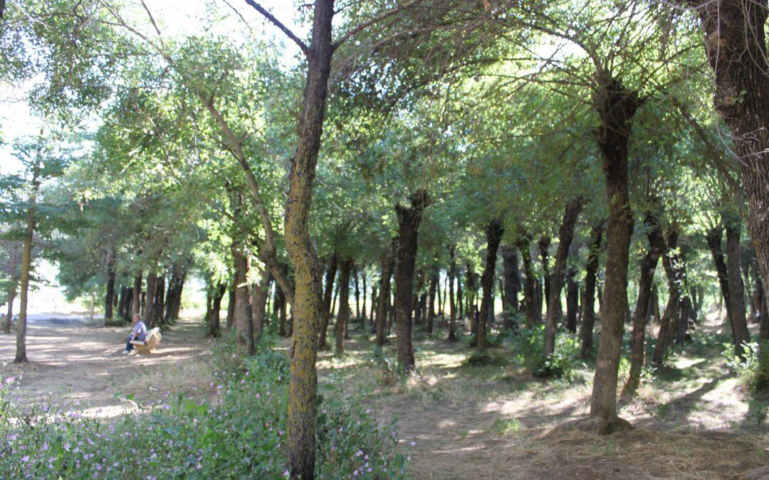 Una hermosa escapada a la naturaleza