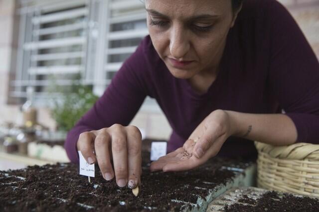 Resistance Through Environment… First Seed Library opens today in Palestine!!