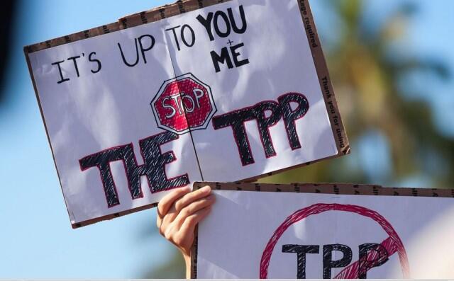 Groups urge U.S. Congress to reject TPP over environmental concerns