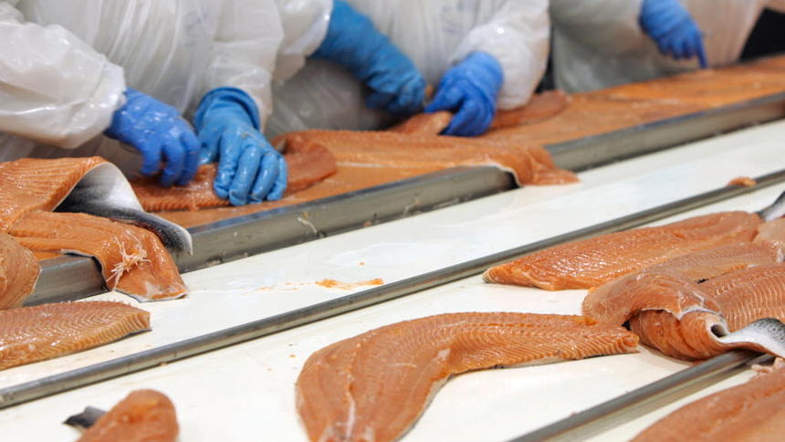 Chile court orders salmon farms antibiotic use be disclosed