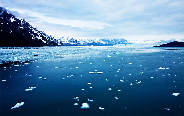 Did you know the Arctic Ocean is the smallest in the world