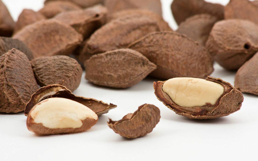 Did you know Brazil got its name from the Brazilian nut (not the other way around)