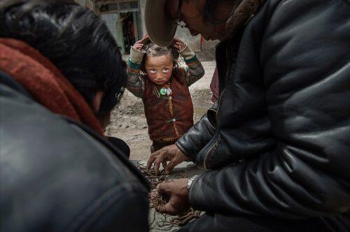 A Tibetan nomad boy watches as vendors buy and sell cordycep fungus at a market in SershulKevin Frayer/Getty Images