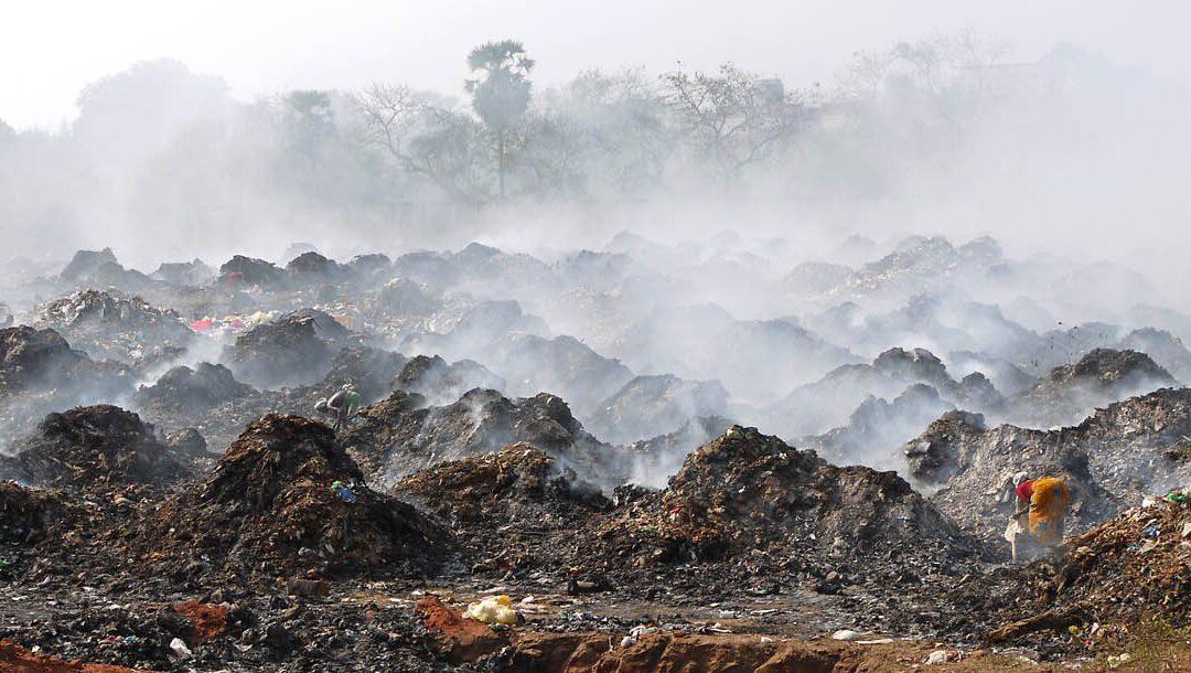 Environmental crime growing at ‘alarming pace’