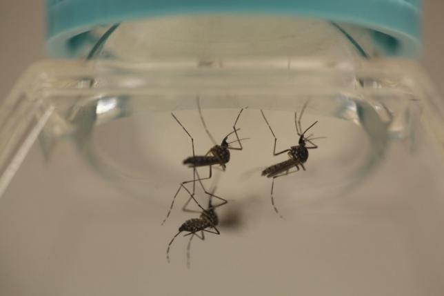 U.S. researcher contracts Zika during experiment: media