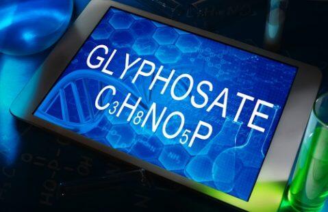 Why all the fuss about glyphosate?