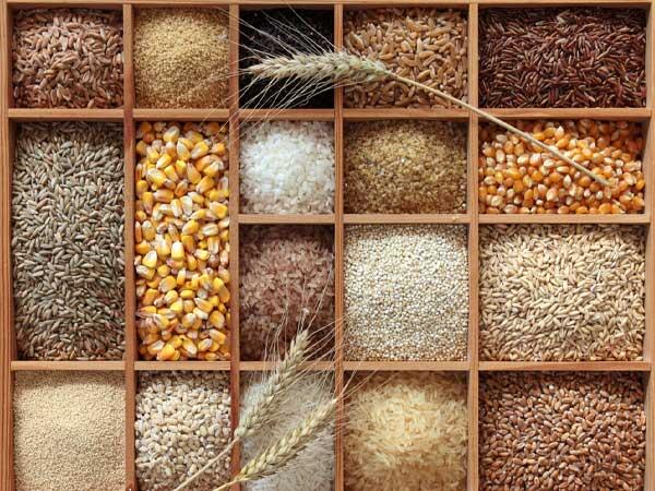 Second study this week links whole grains with long life