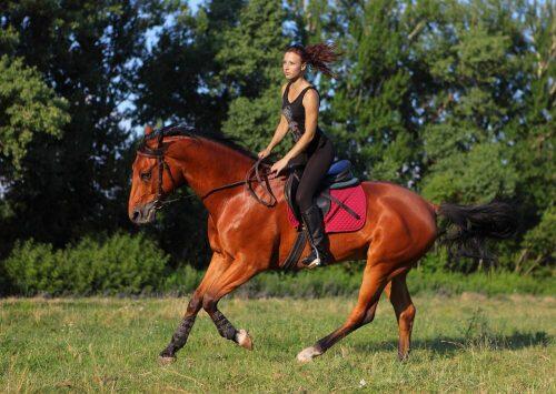 horseback_riding_ukraine_432