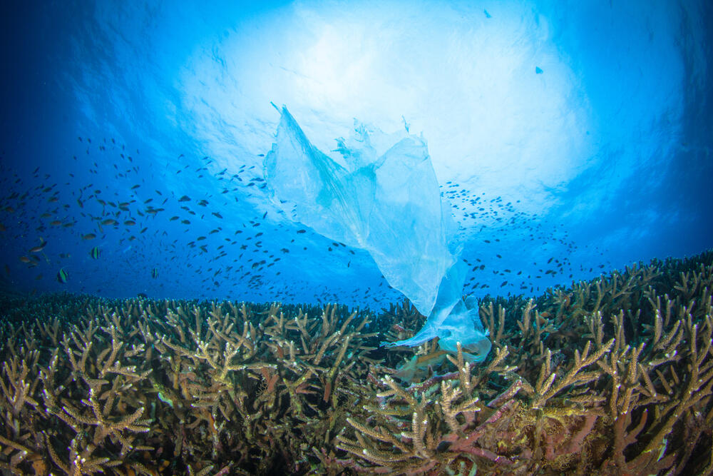 Fin des sacs plastiques à usage unique en France