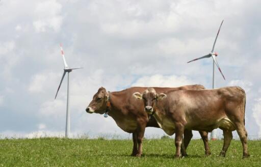 Wildpoldsried, le village bavarois qui mise tout sur les énergies vertes