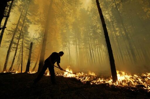 La Russie entre déni et inaction face aux feux de forêts