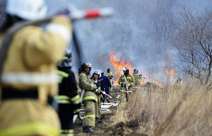 Area of wildfires in Russia reached almost 50 000 hectares over the last 24 hours