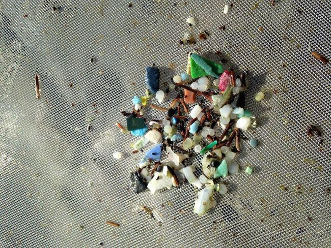 Coastal Centre concerned about plastic pollution in Lake Huron