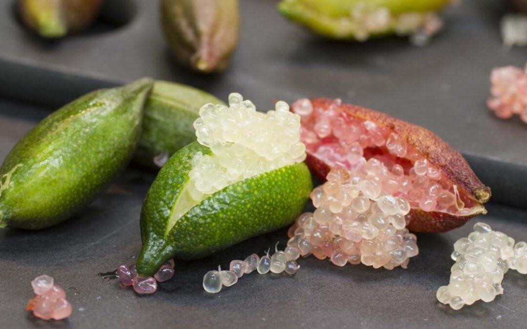 Australia’s finger lime industry is in danger