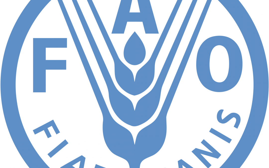 FAO Forestry Commission elects Chehayeb President of 24th session