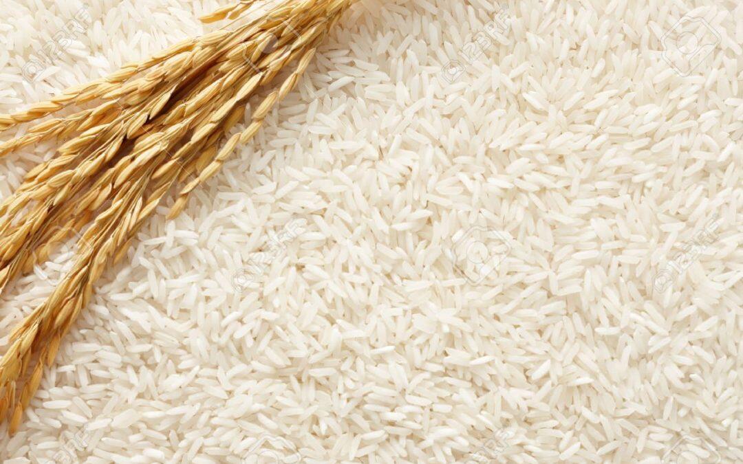 Did you know there are over 15,000 different kinds of rice