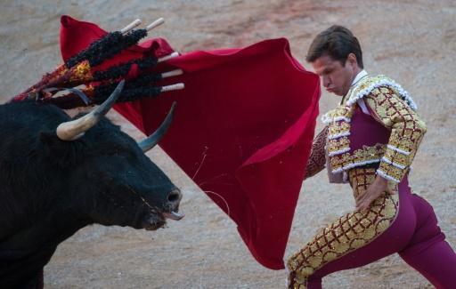 Bullfighting tensions rise in Spain