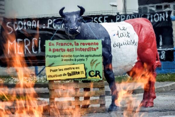 Crise laitière: Bruxelles va mettre la main à la poche