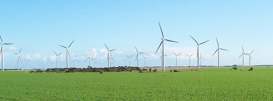 South Australia reaps 83% of electricity in one day from ‘wild’ wind