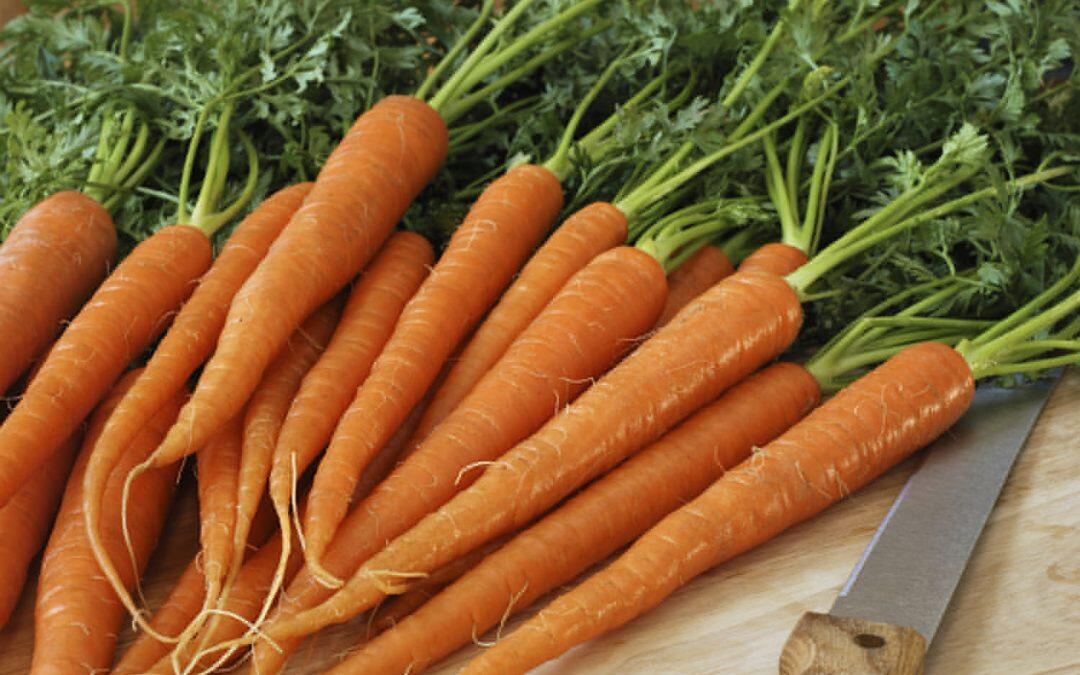 Did you know carrots contain 0% fat