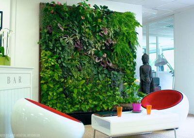 Indoor-Living-Wall-B3-2