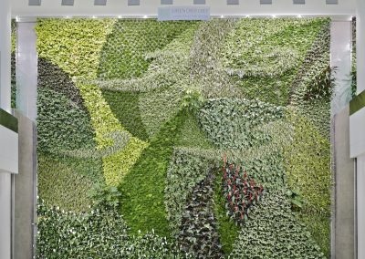 Living Wall at Edmonton International Airport Courtesy Green Over Grey