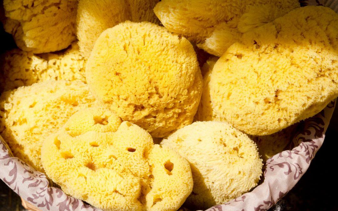 Did you know sponges hold more cold water than hot