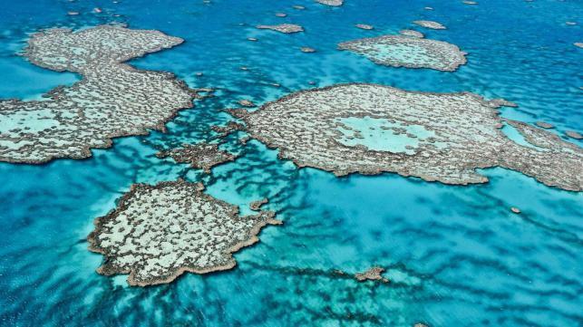 Australian govt criticised for Great Barrier Reef damage