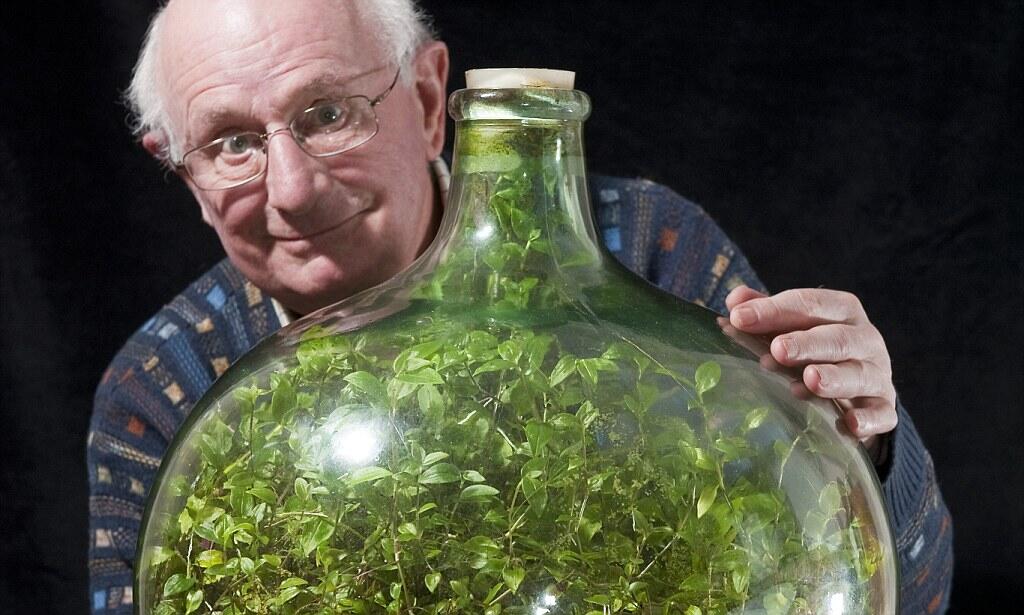 A 50-year old unwatered garden in a sealed bottle… How is that possible?