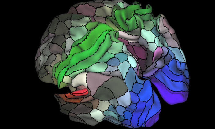 Smart science: Detailed brain map unveiled