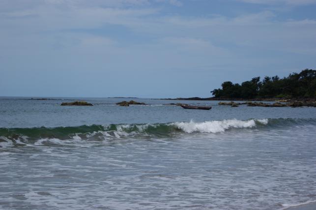 Smelly seaweed invasion hits Sierra Leone beaches