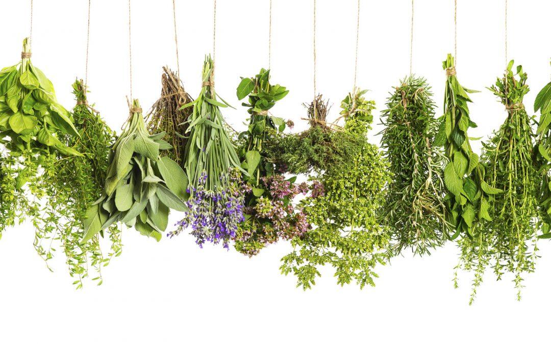 These Herbs will make you happier