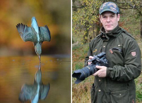 perfect-kingfisher-dive-photo-wildlife-photography-alan-mcfayden-34