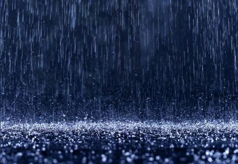 Did you know rain contains vitamin B12