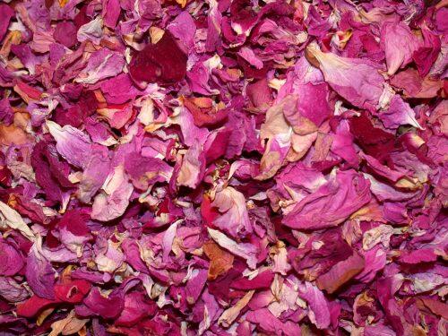 rose-petals-large