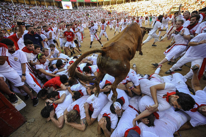 Running of the bulls: 4 runners injured, none gored in Spain