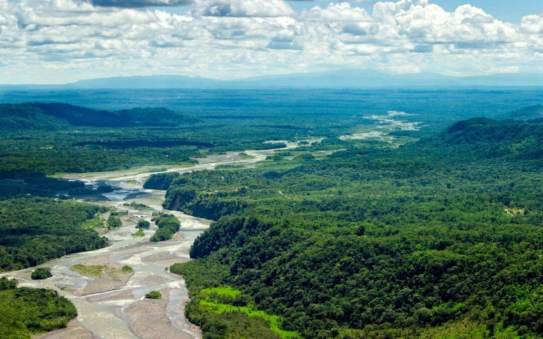 Scientists claim that the oil threatens 745 species in the Amazon