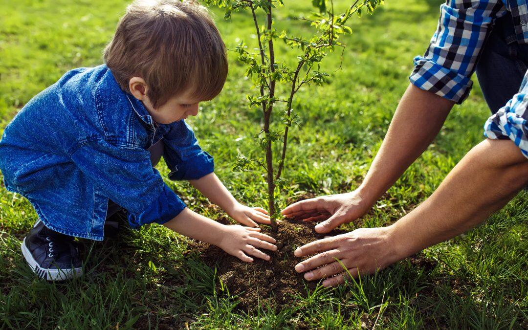 L’elevage des plantes avec des bactéries plus bénéfiques pour nourrir le monde: Mission difficile