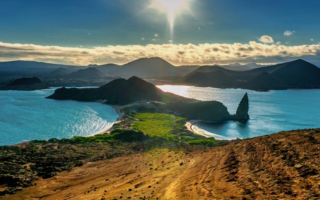 For the first time in 100 years turtles in the Galapagos