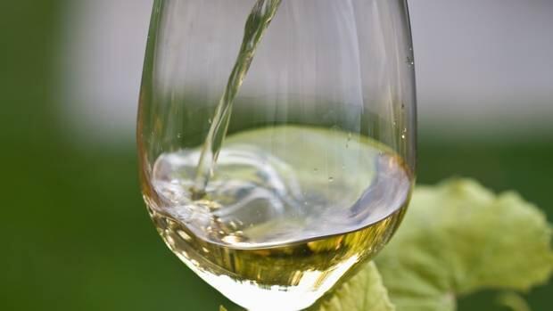 Garganega: White grape is best known as the mainstay of Italy’s Soave wines