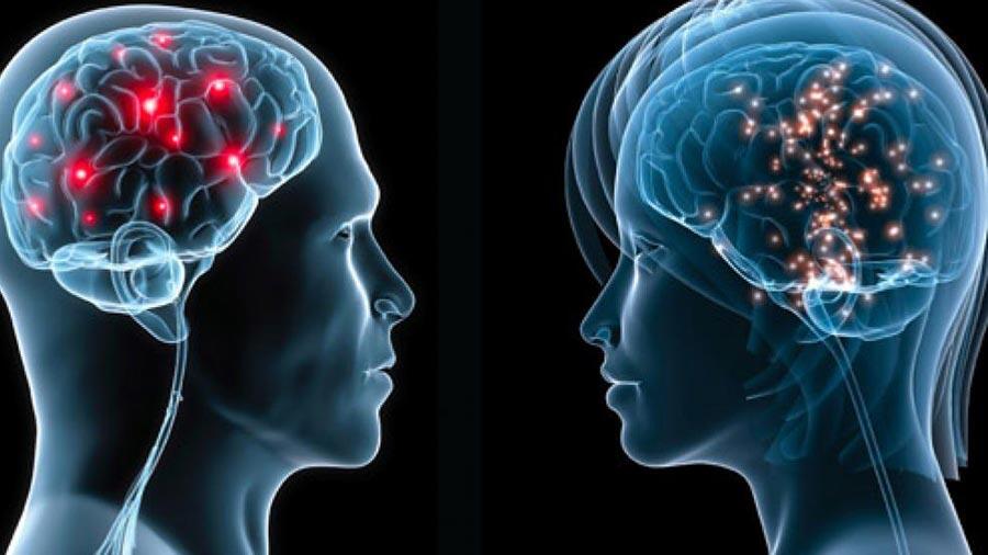 Científicos de Hong Kong descubren mecanismo de mutación de cáncer cerebral mortal