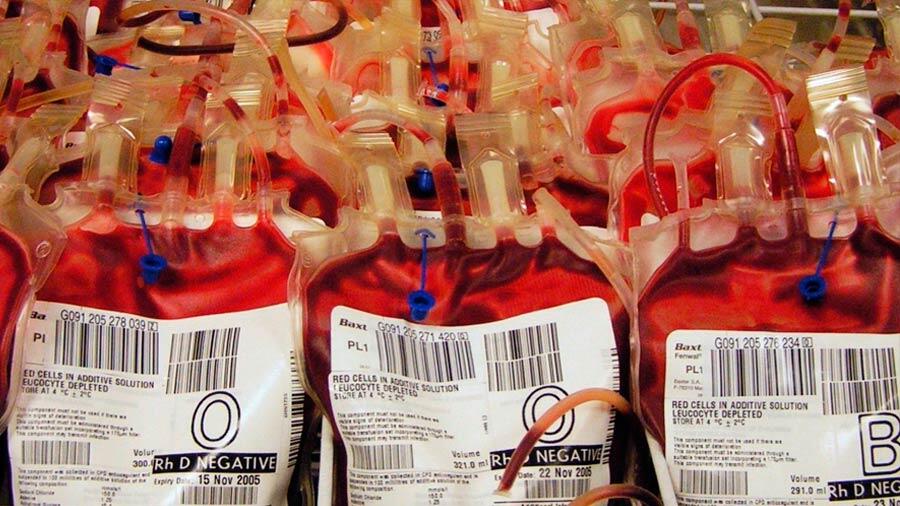 Sangre artificial, solución nipona para el suministro global de transfusiones