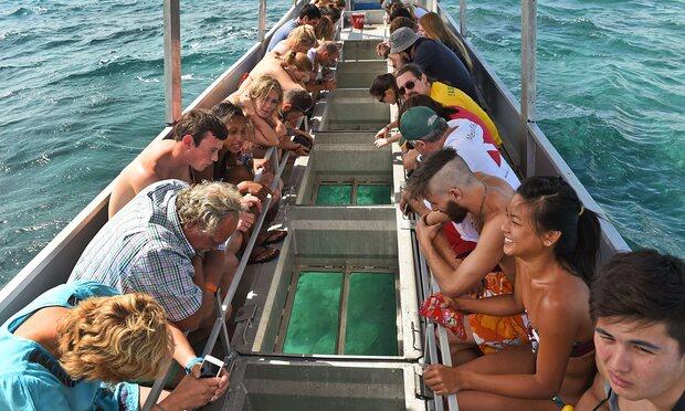 Visitors rush to the Great Barrier Reef to catch it before it’s gone