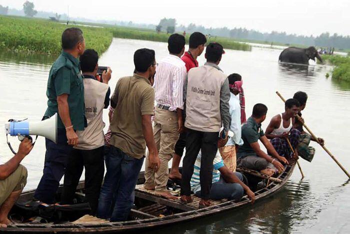 Mammoth effort to save flood-stranded Indian elephant