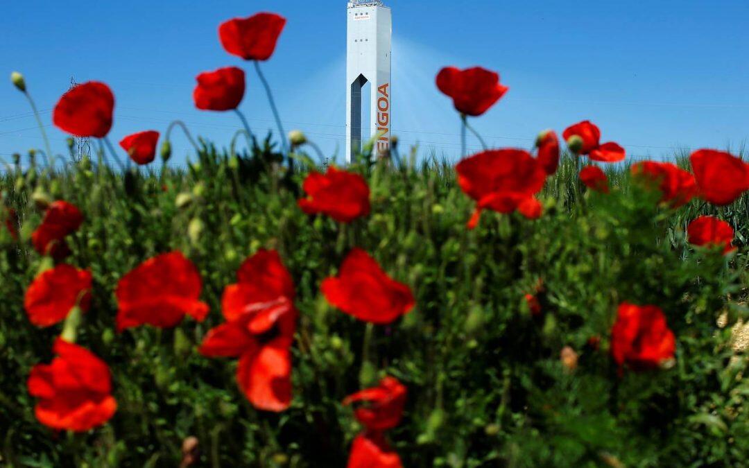 Abengoa Reaches Deal With Creditors to Avoid Bankruptcy