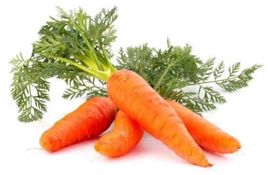 Did you know carrots contain 0% fat